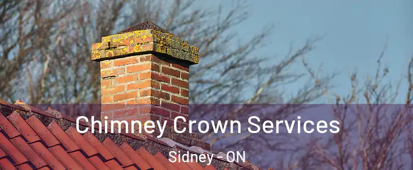  Chimney Crown Services Sidney - ON