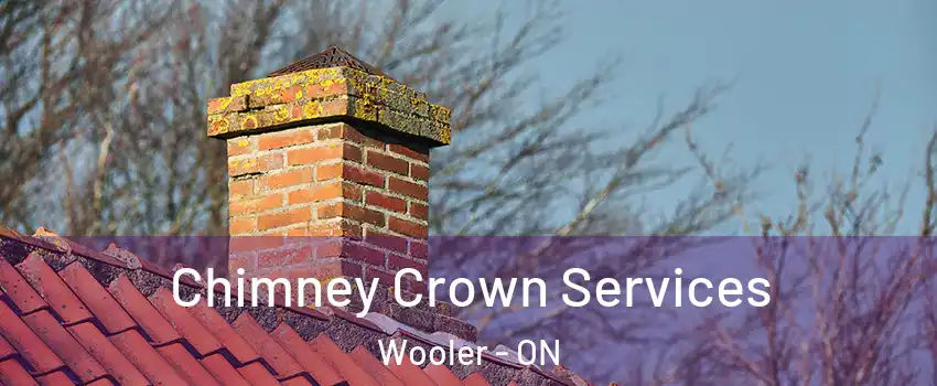  Chimney Crown Services Wooler - ON