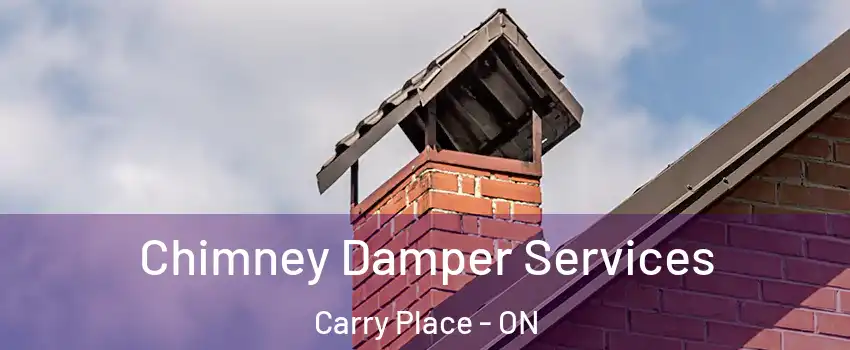  Chimney Damper Services Carry Place - ON