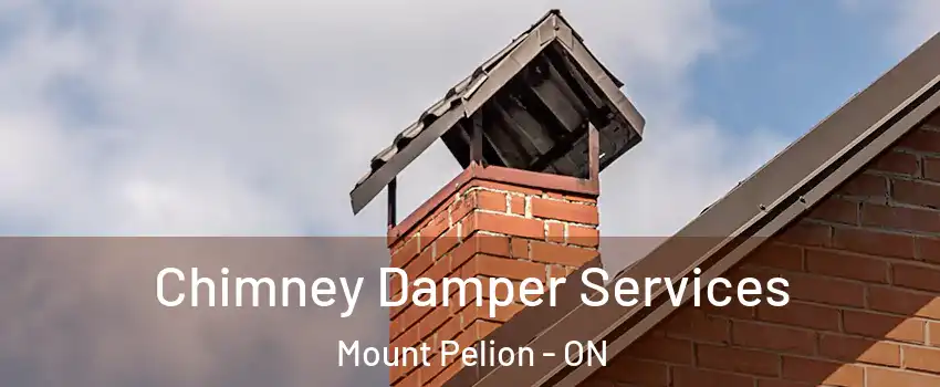  Chimney Damper Services Mount Pelion - ON
