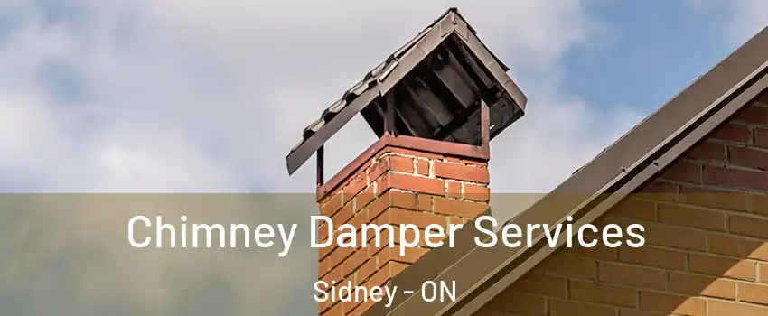  Chimney Damper Services Sidney - ON