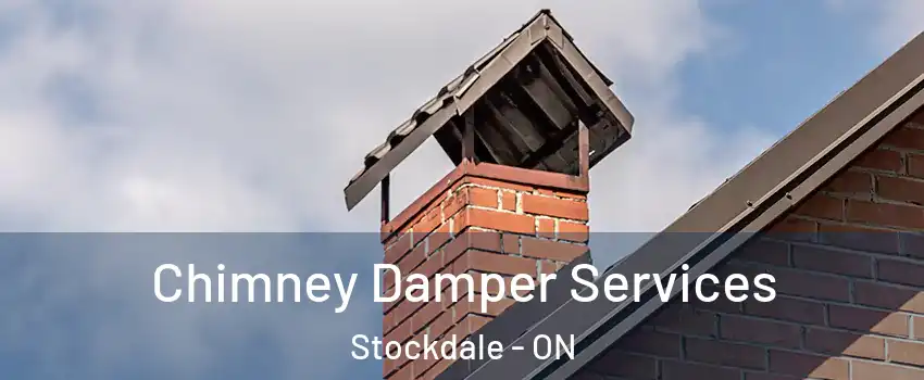  Chimney Damper Services Stockdale - ON