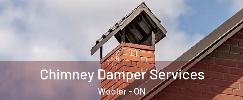  Chimney Damper Services Wooler - ON