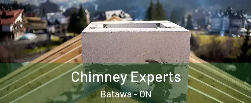  Chimney Experts Batawa - ON