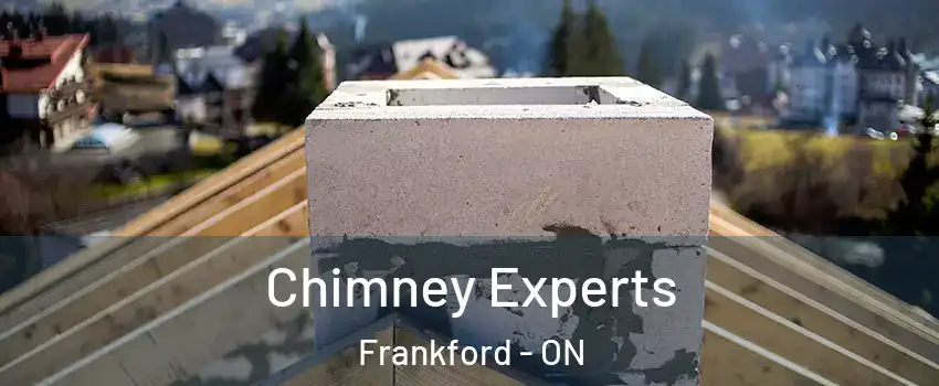  Chimney Experts Frankford - ON