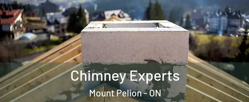  Chimney Experts Mount Pelion - ON