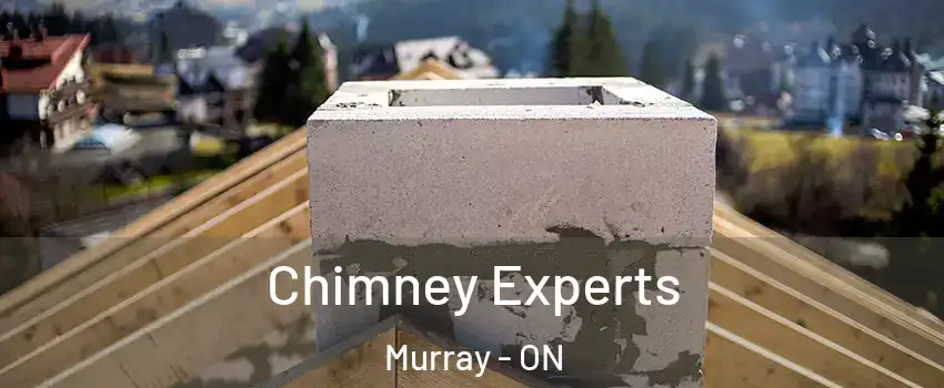  Chimney Experts Murray - ON