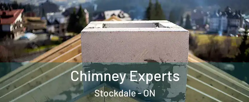  Chimney Experts Stockdale - ON