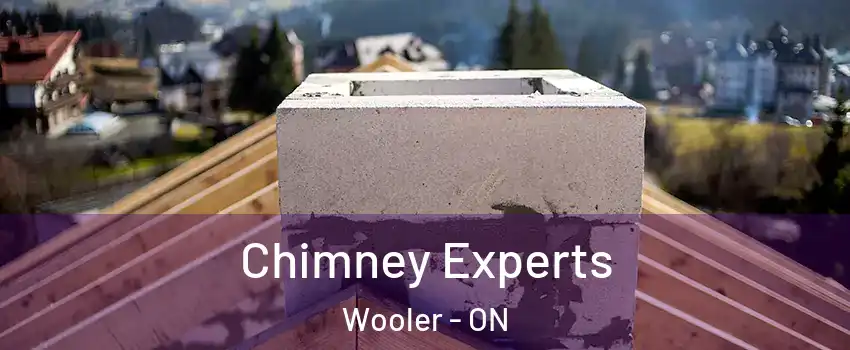  Chimney Experts Wooler - ON