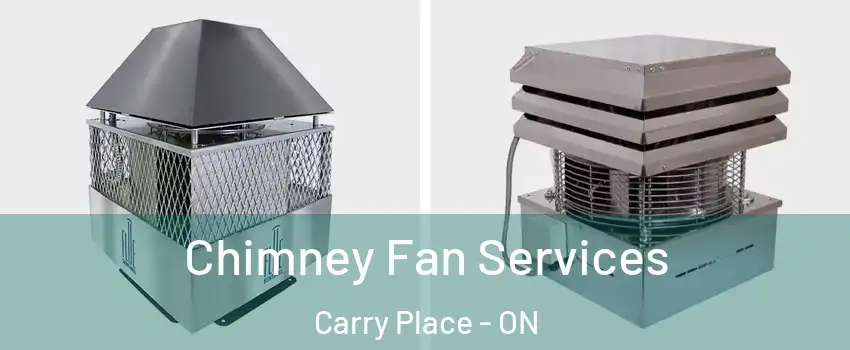  Chimney Fan Services Carry Place - ON