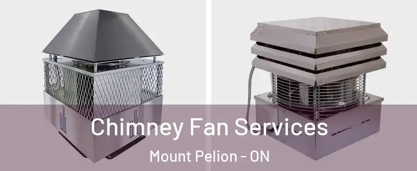  Chimney Fan Services Mount Pelion - ON