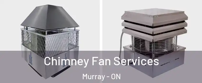  Chimney Fan Services Murray - ON