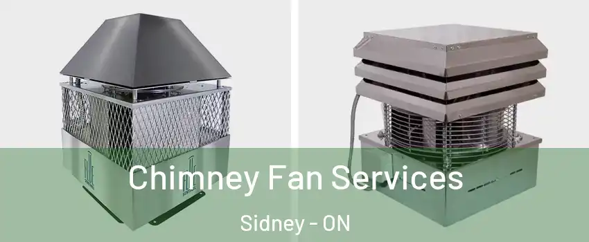  Chimney Fan Services Sidney - ON