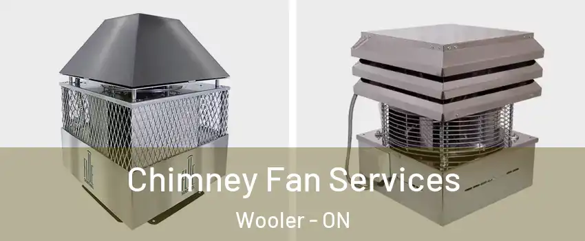  Chimney Fan Services Wooler - ON