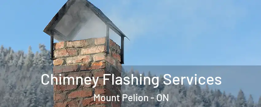  Chimney Flashing Services Mount Pelion - ON