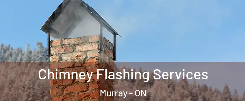  Chimney Flashing Services Murray - ON