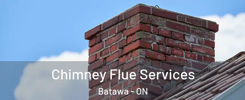  Chimney Flue Services Batawa - ON