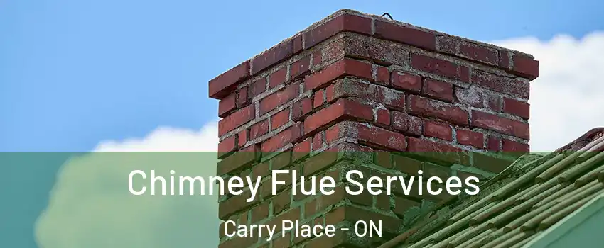  Chimney Flue Services Carry Place - ON
