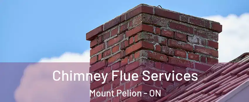  Chimney Flue Services Mount Pelion - ON