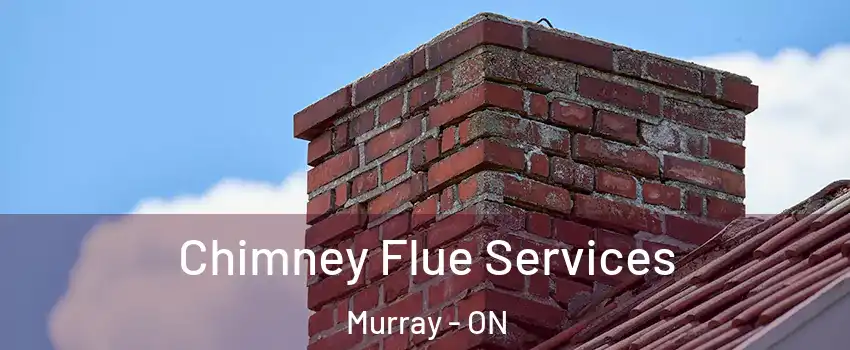  Chimney Flue Services Murray - ON