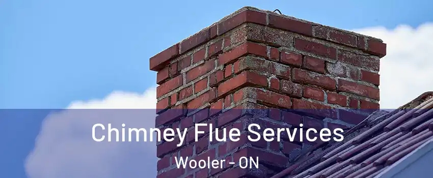  Chimney Flue Services Wooler - ON