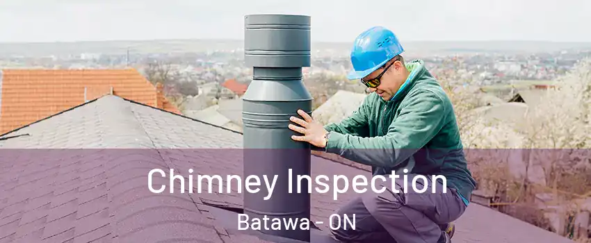  Chimney Inspection Batawa - ON