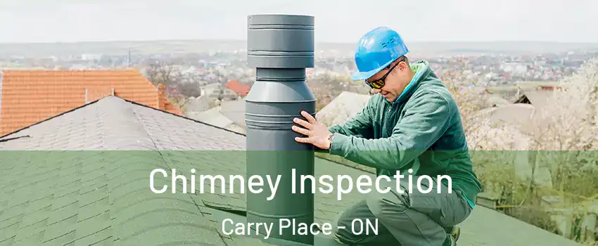  Chimney Inspection Carry Place - ON