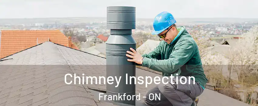  Chimney Inspection Frankford - ON