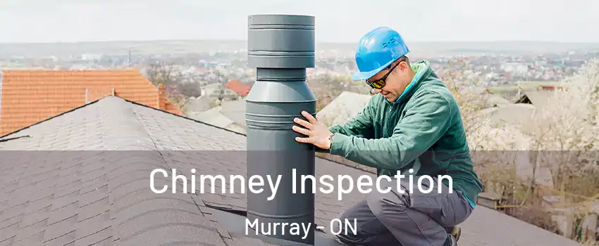  Chimney Inspection Murray - ON