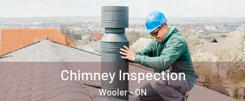  Chimney Inspection Wooler - ON