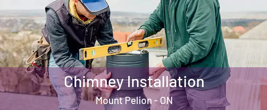  Chimney Installation Mount Pelion - ON