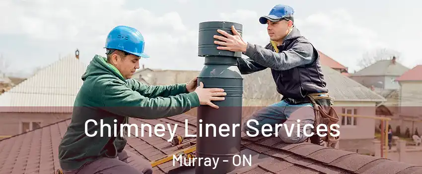  Chimney Liner Services Murray - ON