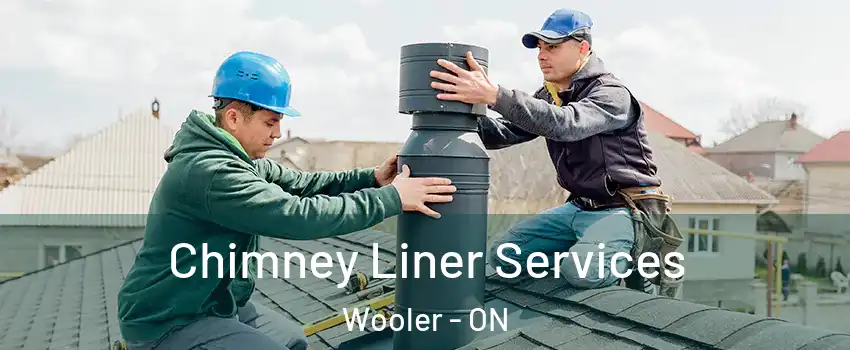  Chimney Liner Services Wooler - ON