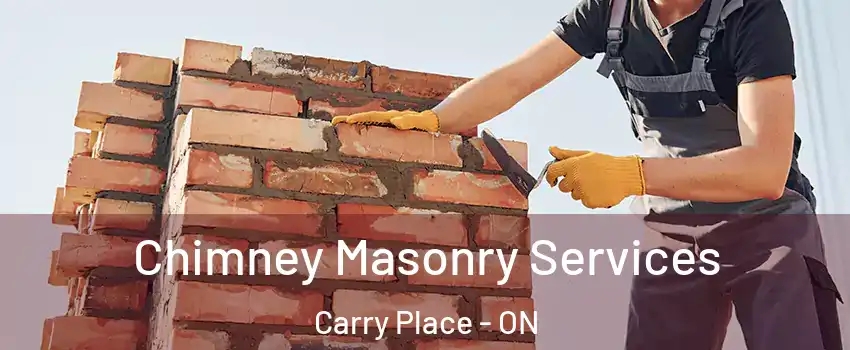  Chimney Masonry Services Carry Place - ON