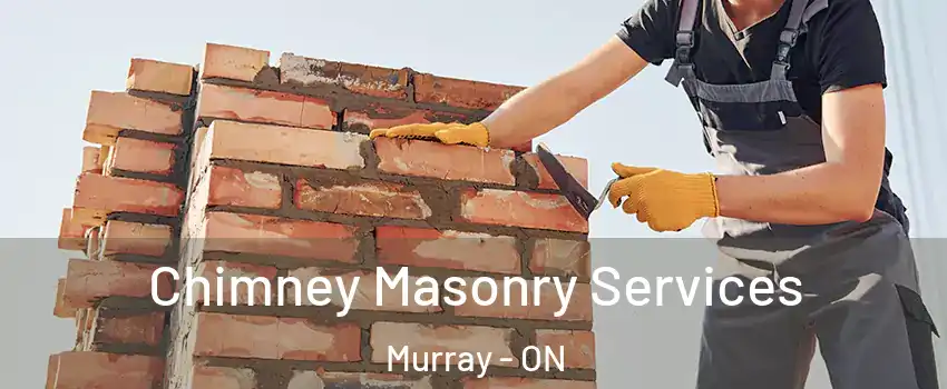  Chimney Masonry Services Murray - ON