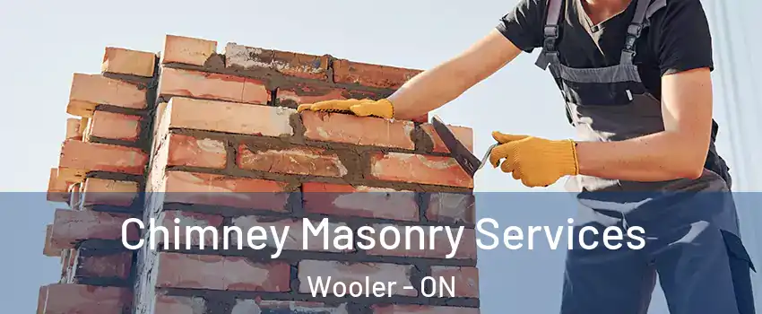  Chimney Masonry Services Wooler - ON