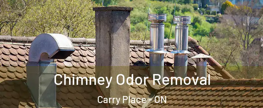  Chimney Odor Removal Carry Place - ON