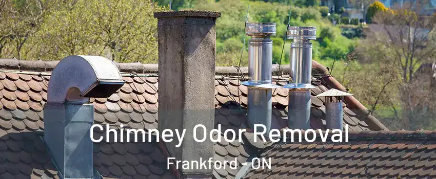  Chimney Odor Removal Frankford - ON
