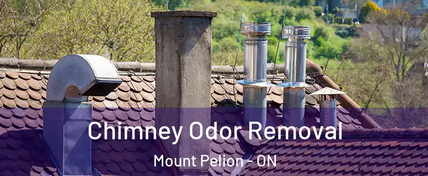  Chimney Odor Removal Mount Pelion - ON