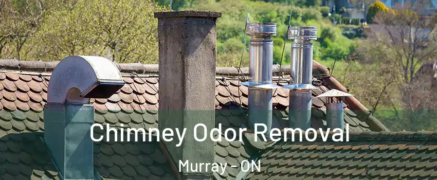  Chimney Odor Removal Murray - ON