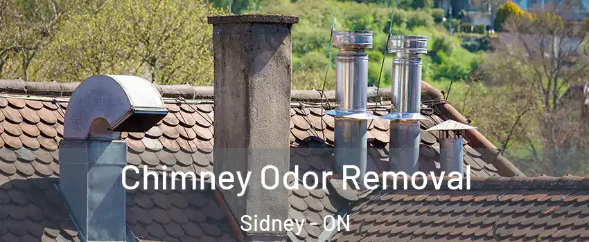  Chimney Odor Removal Sidney - ON