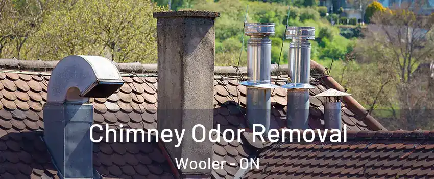  Chimney Odor Removal Wooler - ON