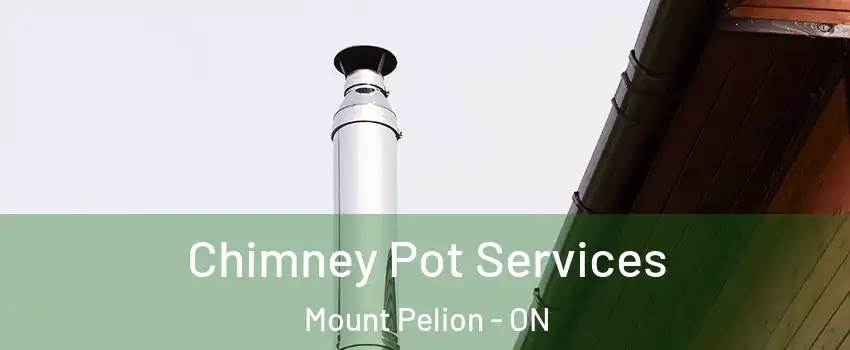  Chimney Pot Services Mount Pelion - ON