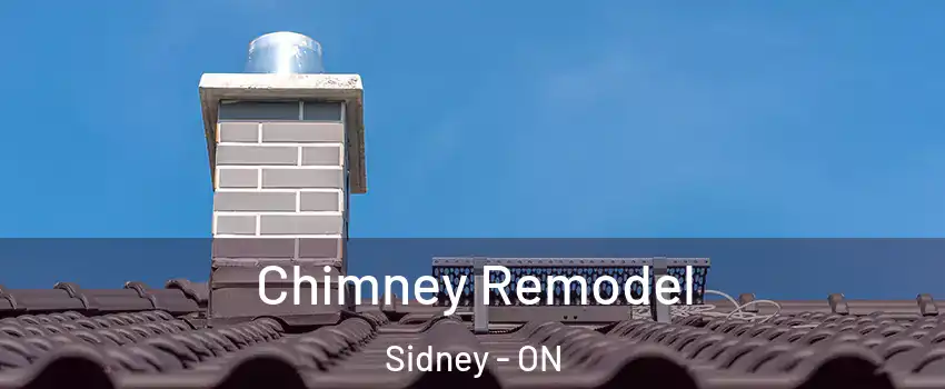  Chimney Remodel Sidney - ON