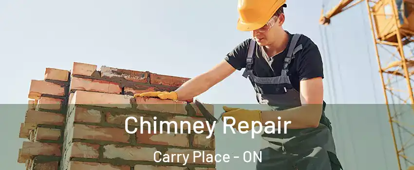  Chimney Repair Carry Place - ON