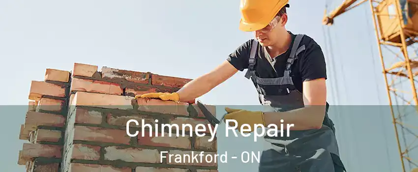  Chimney Repair Frankford - ON