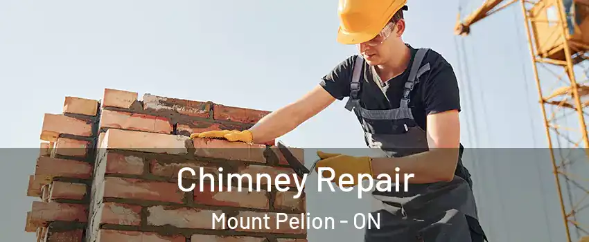  Chimney Repair Mount Pelion - ON