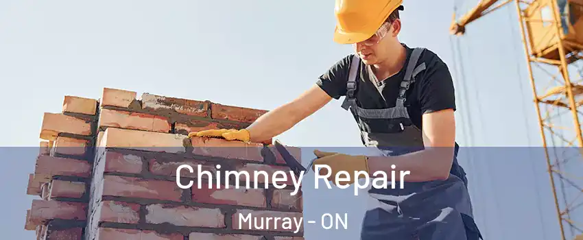  Chimney Repair Murray - ON