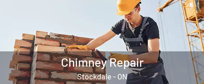  Chimney Repair Stockdale - ON