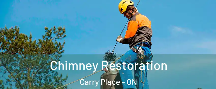  Chimney Restoration Carry Place - ON